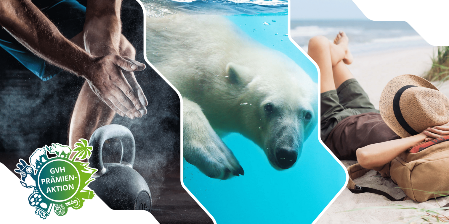 Fotokollage zur Prämienaktion, die eine Hantel, einen Eisbären und eine Frau am Strand beinhaltet.
