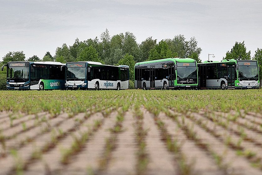 Vier Busse von regiobus und ÜSTRA stehen in einer Frontalansicht aufgefächert nebeneinander.